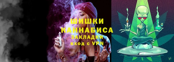 амф Няндома