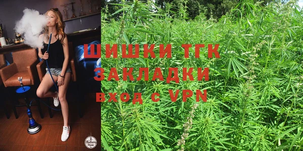 амф Няндома