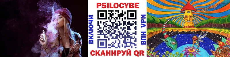 где купить наркотик  omg сайт  Псилоцибиновые грибы ЛСД  Сковородино 